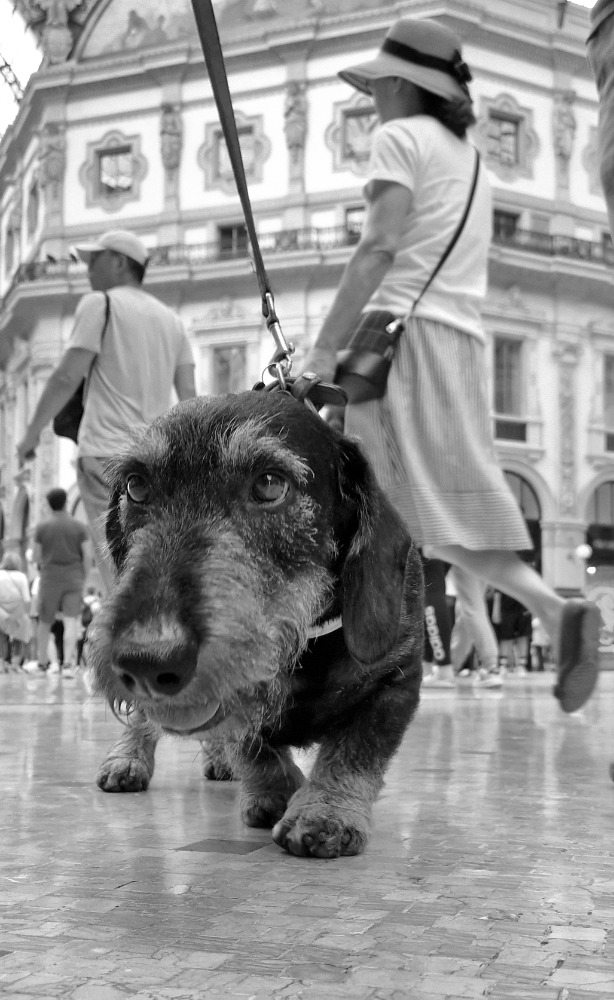 Galleria del corso di Photo marathon in città