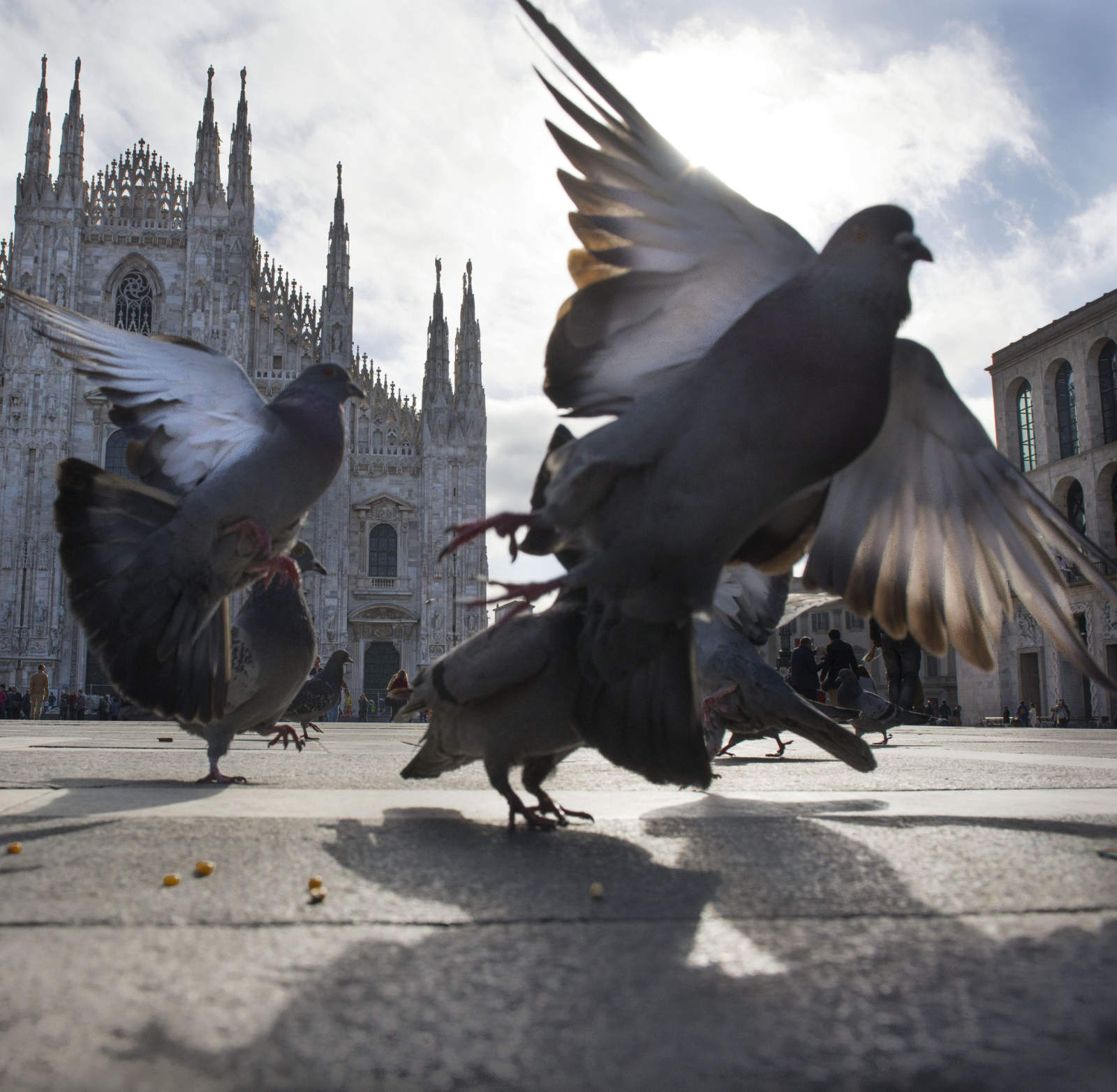 Corso di Photo marathon in città a Milano